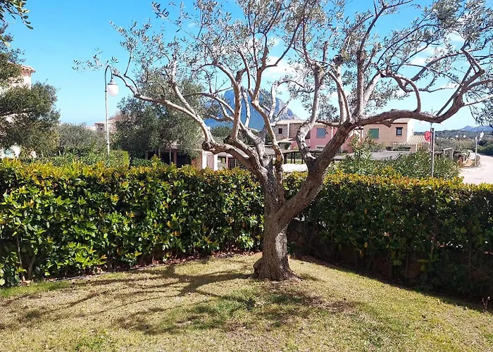 Il Borgo Apt 1