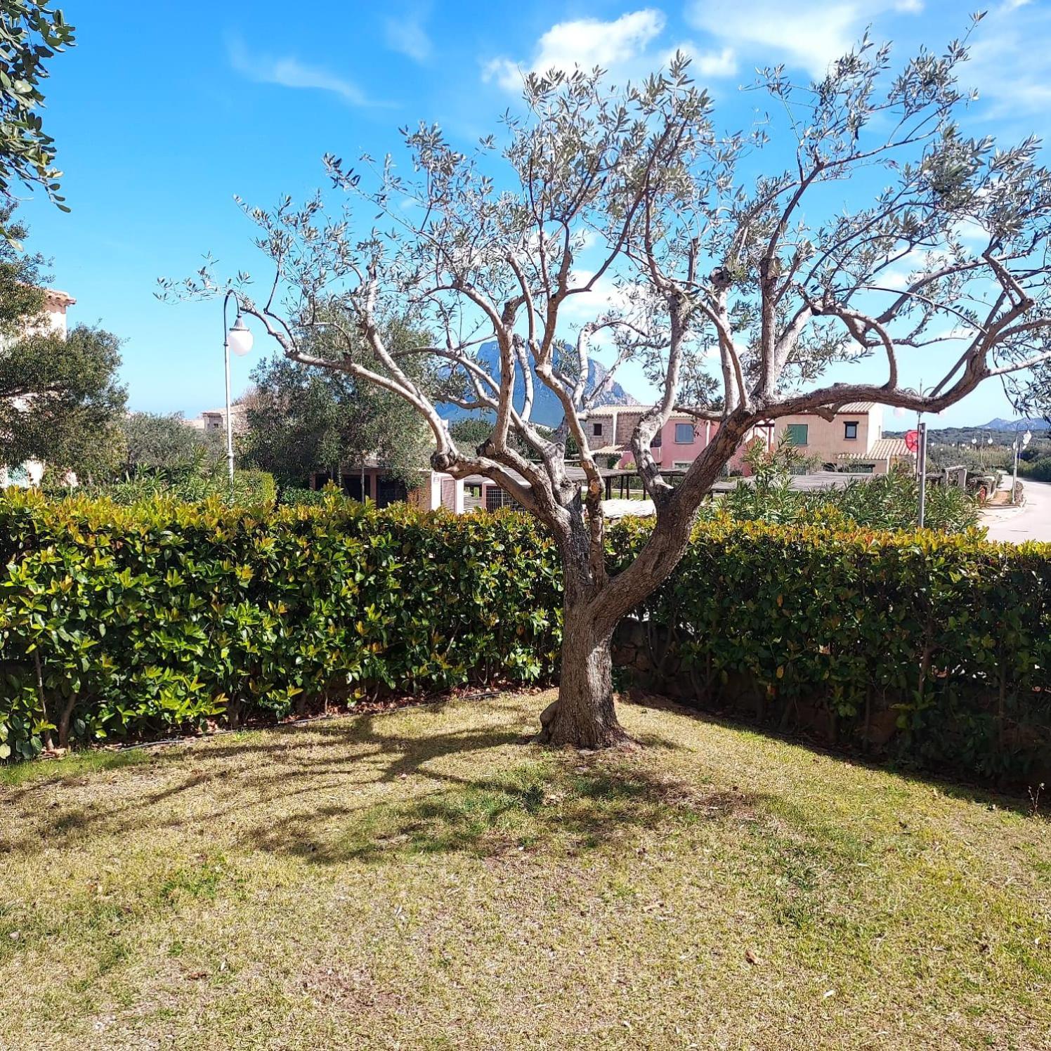 Il Borgo 1 Apartment *
